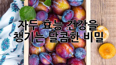 자두 효능: 건강을 챙기는 달콤한 비밀